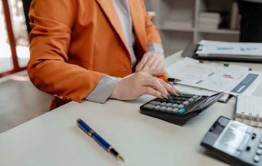 7616 Februarie - Belasting Veldtog Web artikel-26